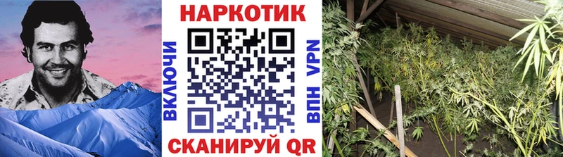 Купить наркотик Мытищи Канабис  КОКАИН  Метадон  МЕФ  ГАШИШ 