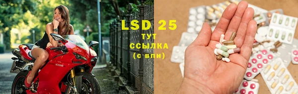 индика Сясьстрой