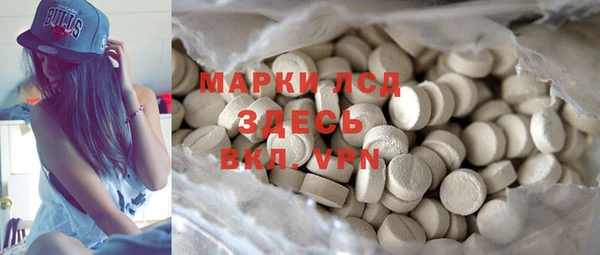 индика Сясьстрой
