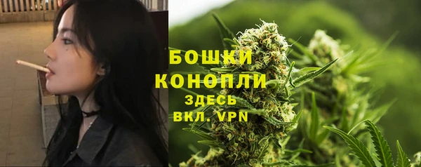 2c-b Тайга