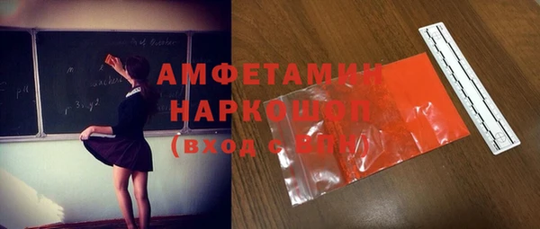 индика Сясьстрой