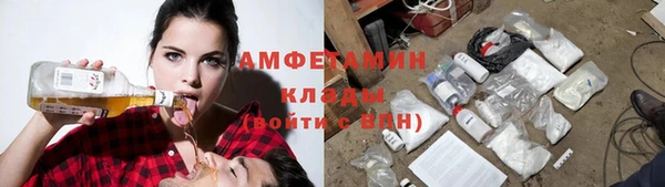 мдпв Тавда