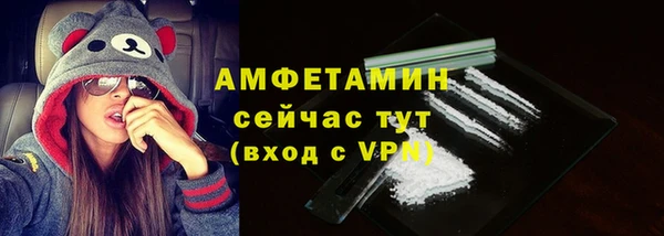 индика Сясьстрой