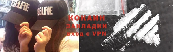 индика Сясьстрой