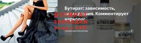 индика Сясьстрой