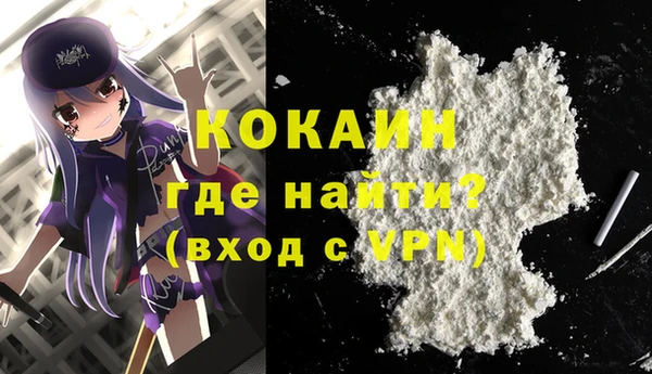 индика Сясьстрой