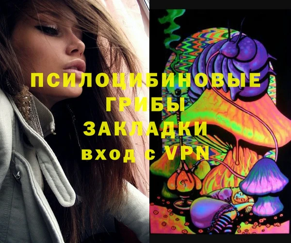 мдпв Тавда