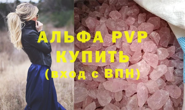 индика Сясьстрой