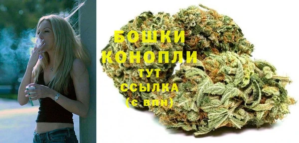 2c-b Тайга