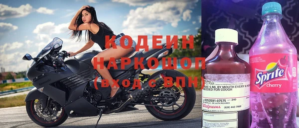 индика Сясьстрой