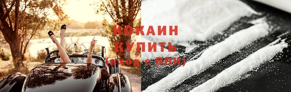 индика Сясьстрой