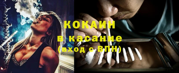 индика Сясьстрой