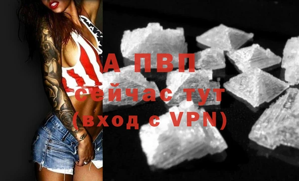 мдпв Тавда