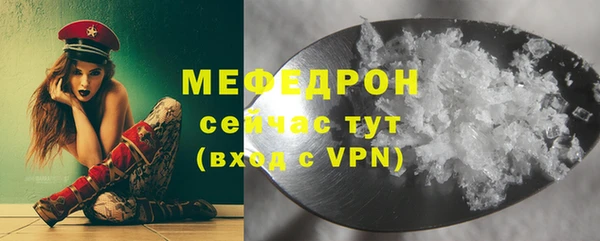 индика Сясьстрой