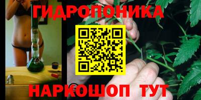 ECSTASY Гай