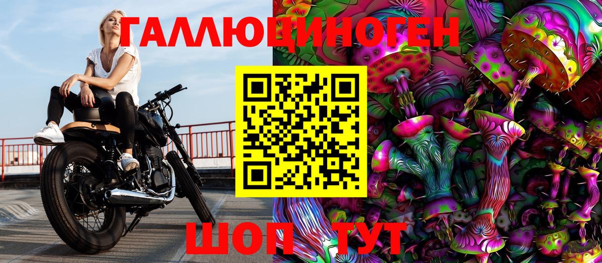 наркошоп  Мытищи  Псилоцибиновые грибы Psilocybe 