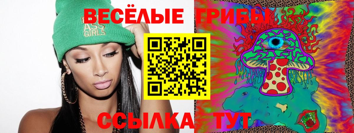 Псилоцибиновые грибы Psilocybine cubensis Мытищи